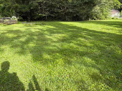 Lawn Care service in Arden, 28704