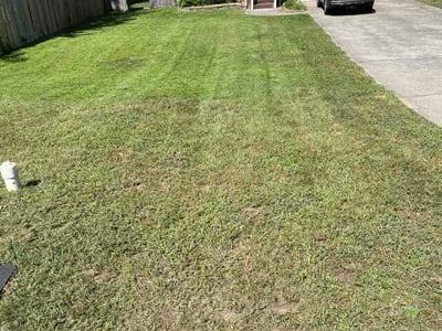 Lawn Care service in Lumberton, 28358