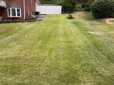 Lawn Care service in Bethel Park, 15102