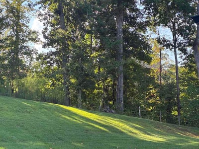 Lawn Care service in Natick, 01760
