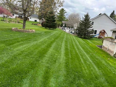 Lawn Care service in West Bend, 53095