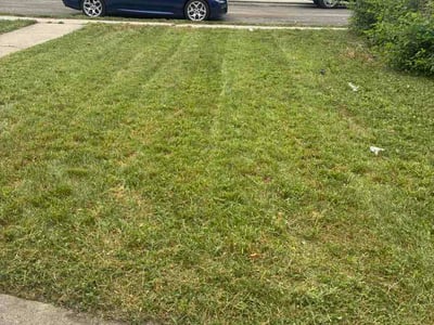 Lawn Care service in Schaumburg, 60194