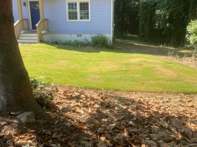 Lawn Care service in Post Falls, 83854