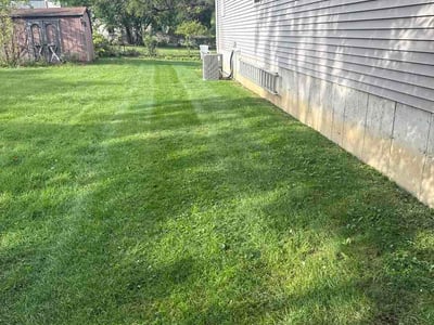 Lawn Care service in Lisle, 60532