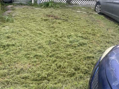 Lawn Care service in Bellingham, 02019
