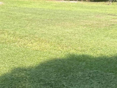 Lawn Care service in East Brunswick, 08816
