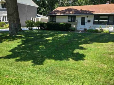 Lawn Care service in Highland Park, 60035