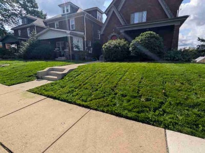Lawn Care service in Butler, 16001