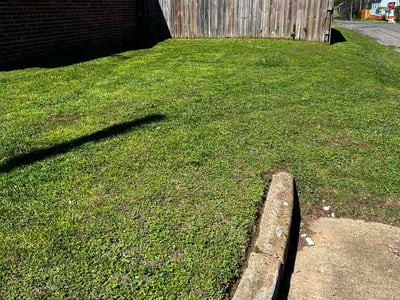 Lawn Care service in Covington, 38019