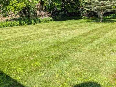 Lawn Care service in Canandaigua, 14424