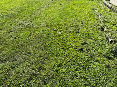 Lawn Care service in Highland, 62249