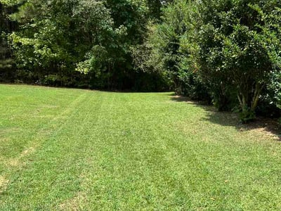 Lawn Care service in Lawrenceville, 30046