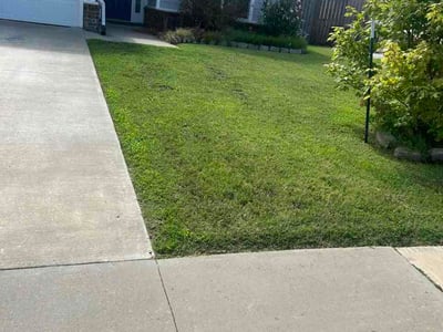 Lawn Care service in Springdale, 72764