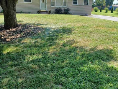 Lawn Care service in Coolidge, 85128