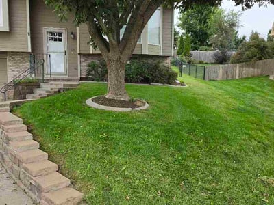 Lawn Care service in Bellevue, 68005