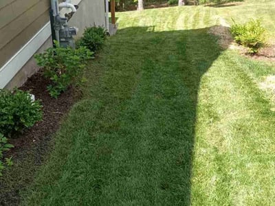 Lawn Care service in Summerlin, 89134