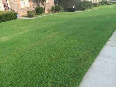 Lawn Care service in Homewood, 35209