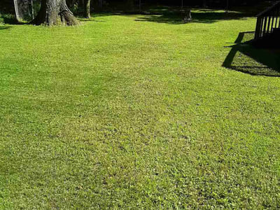 Lawn Care service in Pell City, 35125