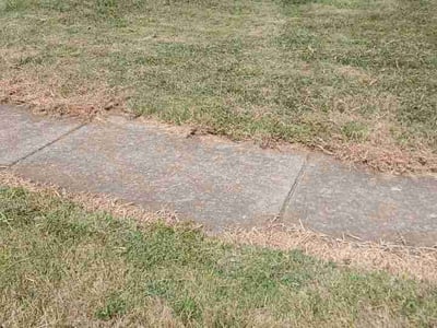 Lawn Care service in Kittanning, 16201
