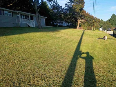 Lawn Care service in Sharpsburg, 30277