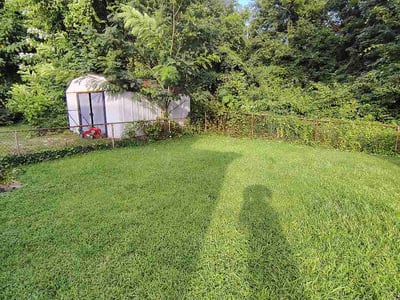 Lawn Care service in Havertown, 19083