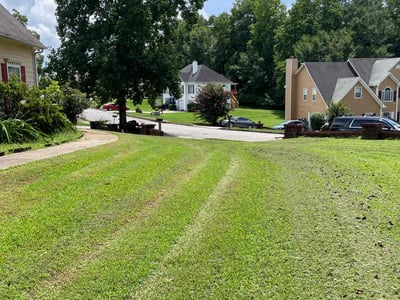 Lawn Care service in Glendale, 85301