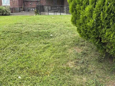 Lawn Care service in Media, 19063