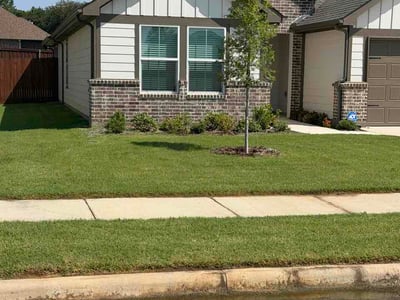 Lawn Care service in Laredo, 78040
