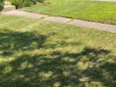 Lawn Care service in Gurnee, 60031
