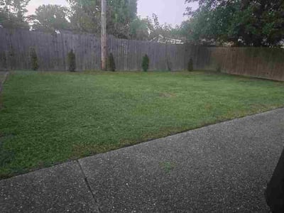 Lawn Care service in Cranberry Twp, 16066