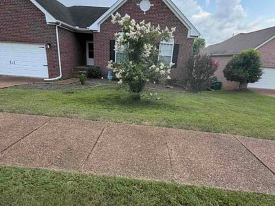 Lawn Care service in Madison, 37115