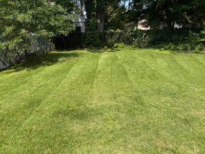 Lawn Care service in Hackensack, 07601