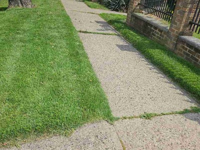 Lawn Care service in Hackensack, 07601