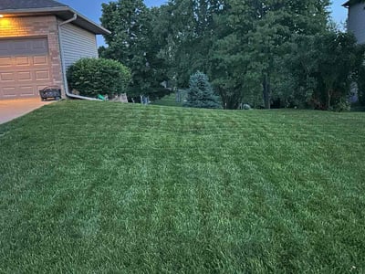 Lawn Care service in Iowa City, 52240
