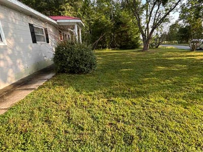 Lawn Care service in Mebane, 27302