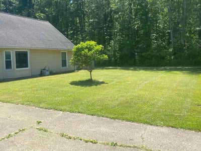 Lawn Care service in Menasha, 54952