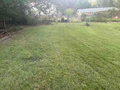 Lawn Care service in Fairfield, 35064