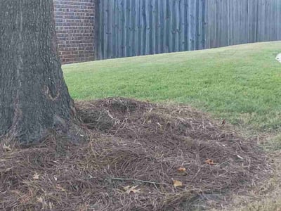 Lawn Care service in Birmingham, 35203