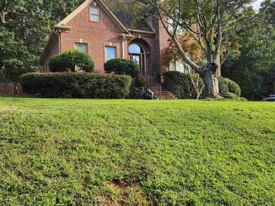 Lawn Care service in Fairfield, 35064