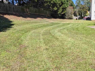 Lawn Care service in Bowling Green, 42101