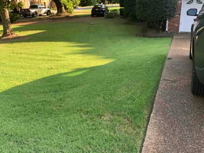 Lawn Care service in Hernando, 38632