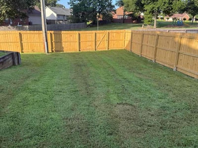 Lawn Care service in Olive Branch, 38654