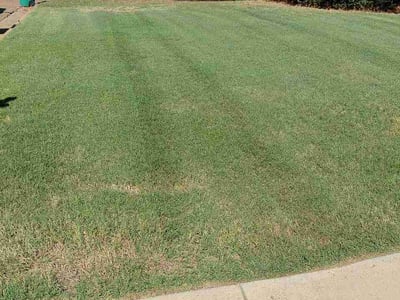 Lawn Care service in Olive Branch, 38654
