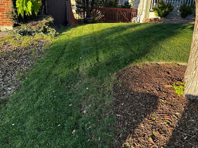 Lawn Care service in Weymouth, 02188