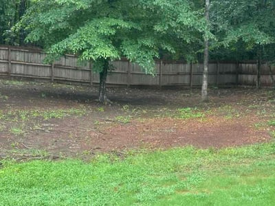 Lawn Care service in Chelsea, 35043