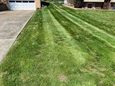 Lawn Care service in Ford City, 16226