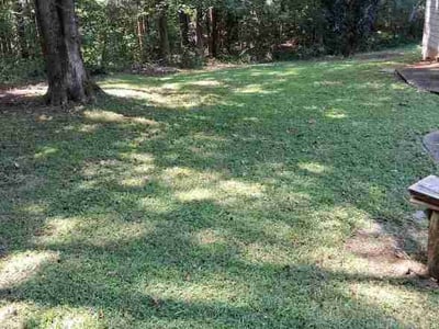 Lawn Care service in Cartersville, 30120