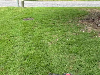 Lawn Care service in Gardendale, 35071