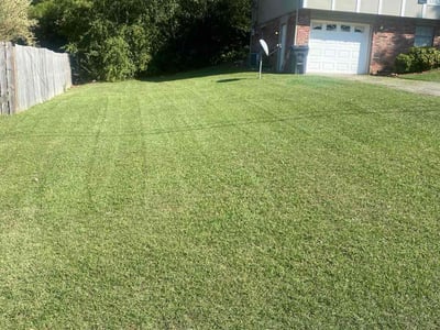 Lawn Care service in Gardendale, 35071