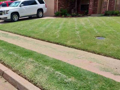 Lawn Care service in Ridgewood, 07450